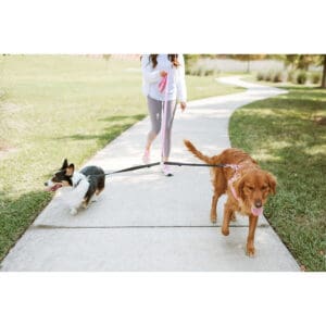 DOUBLE DOG LEASH