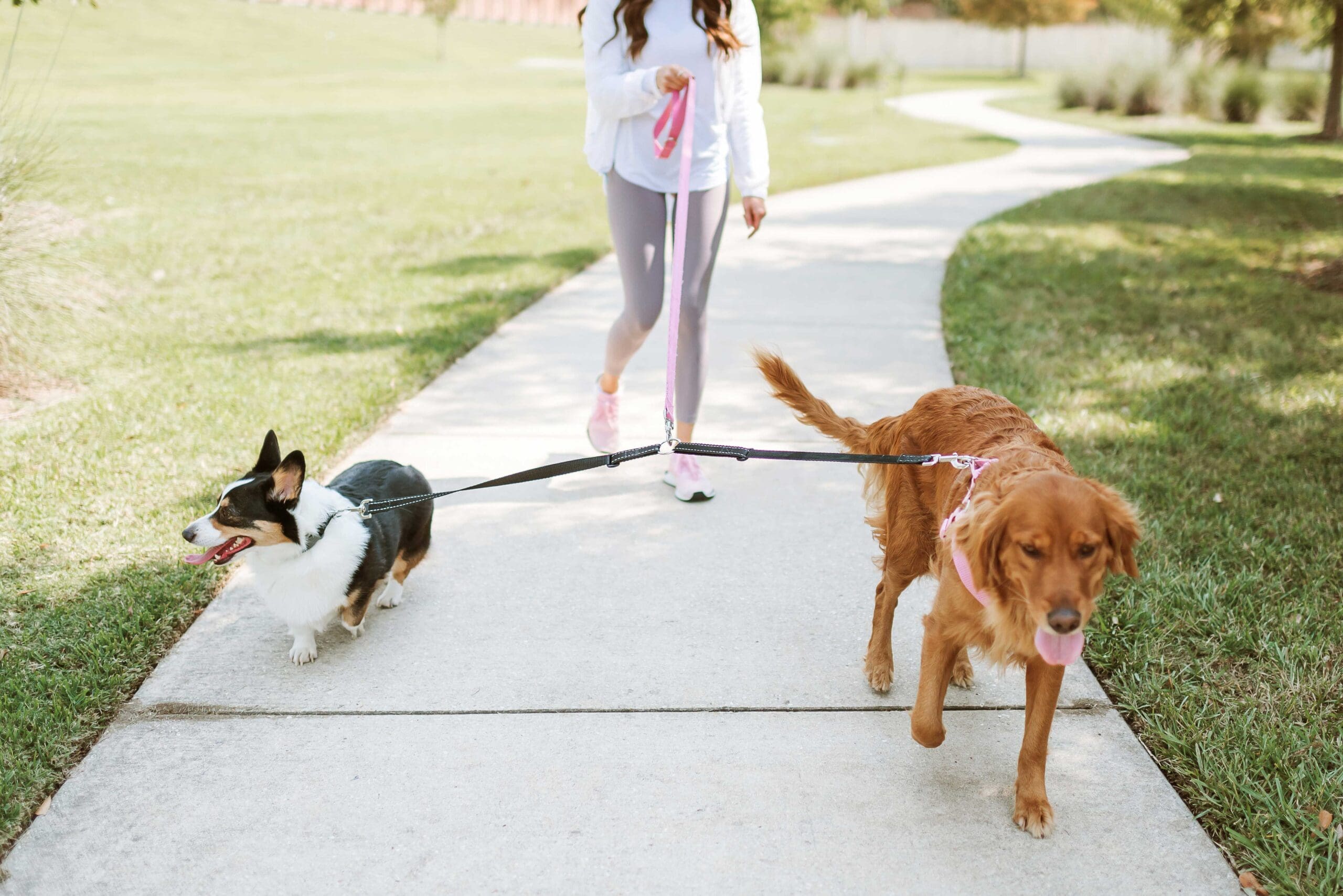 DOUBLE DOG LEASH Cajun Tie Downs