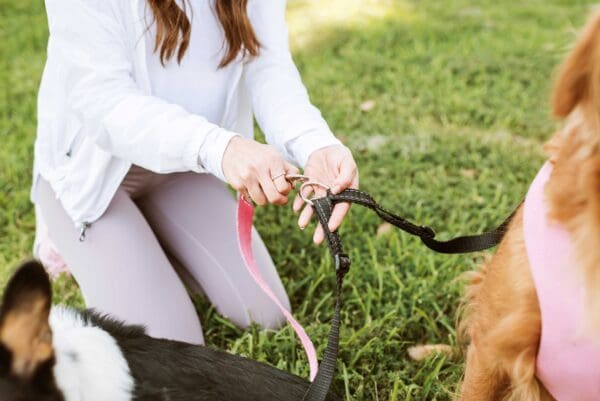 double leash for dog