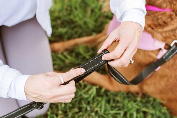 leash sliding adjustment