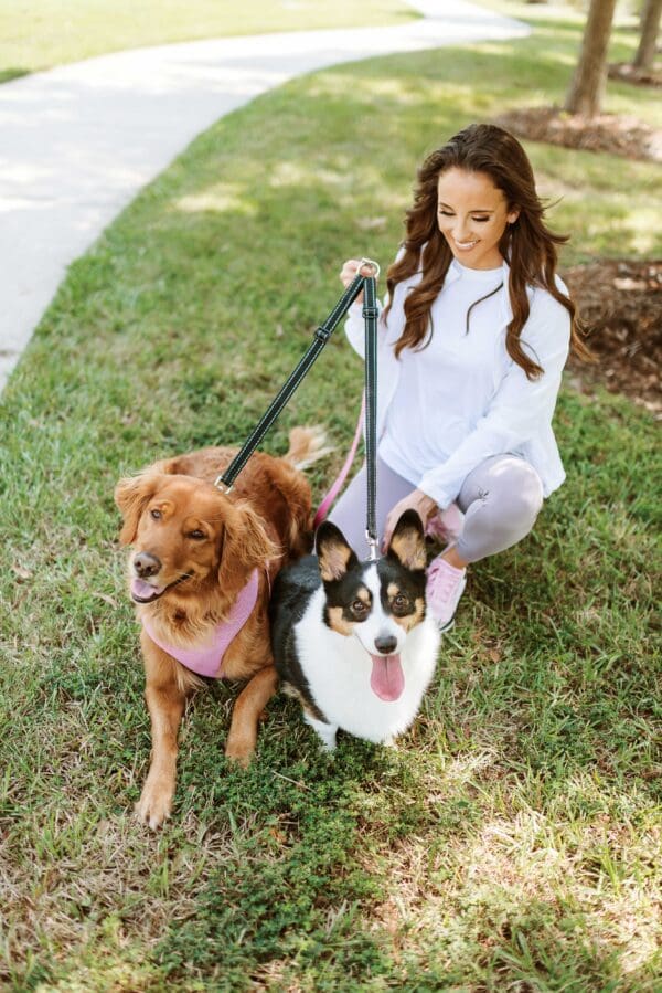 2 dogs on a split leash