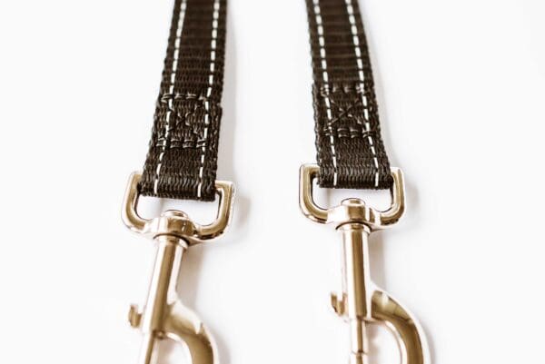 dule clasp on double leash