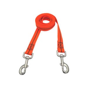 Dog Stake Out Leash