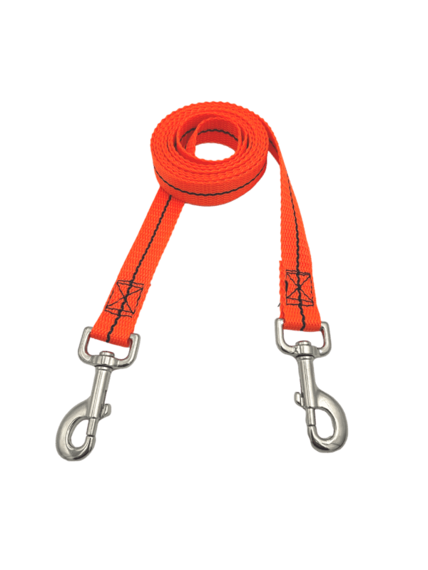 Cajun Tie Downs dog stake out leash